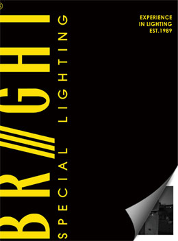 Bright Catalogue 19
